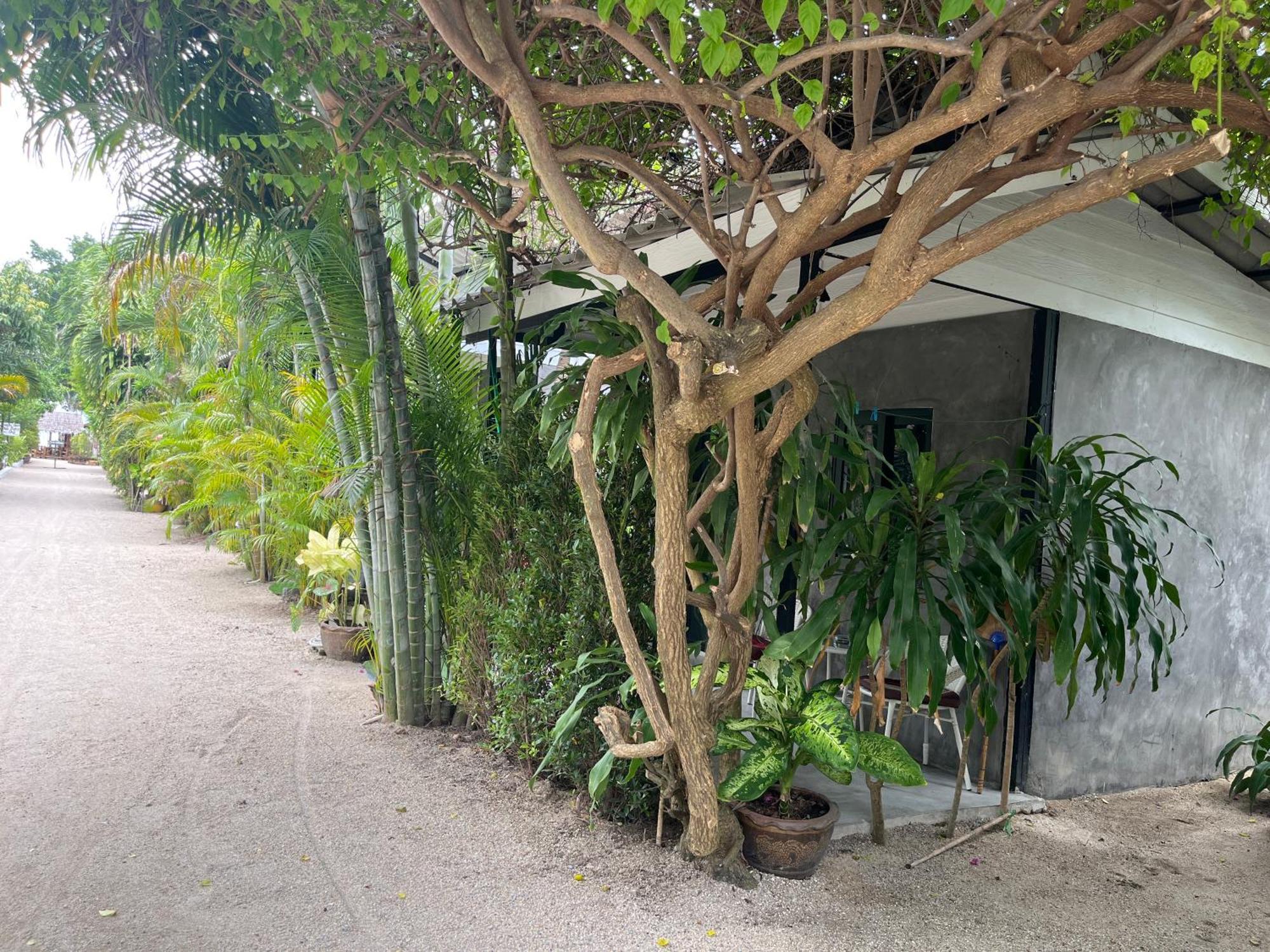 Namthip Homebeach Baan Tai Extérieur photo